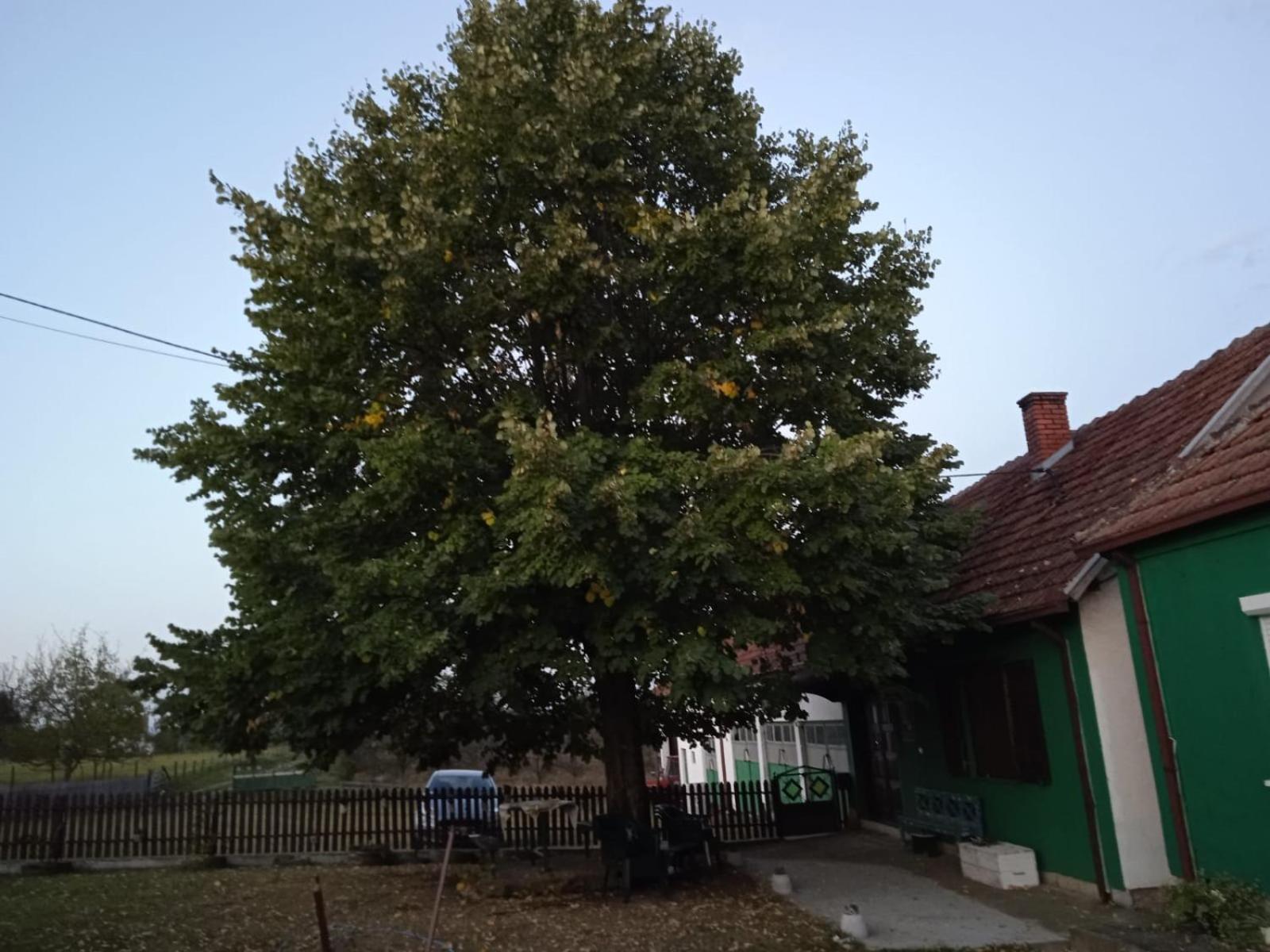 Dedina Luka Villa Valjevo Exterior photo